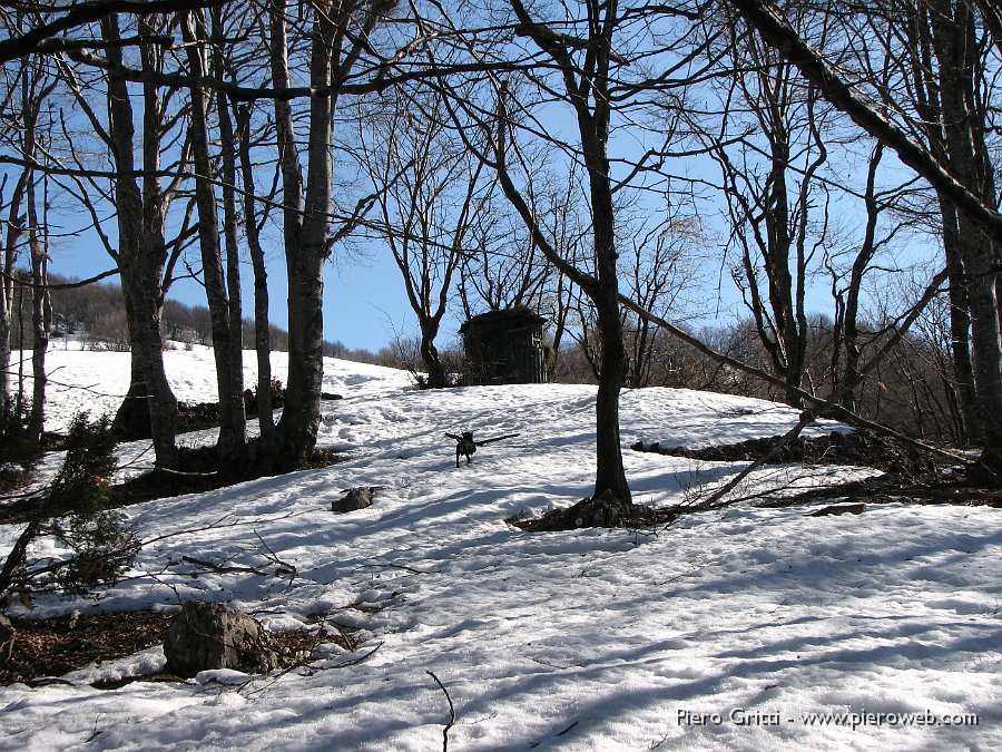 07  In vista del  capanno.jpg